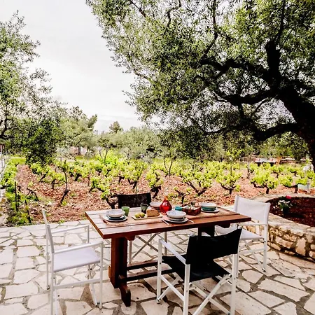 度假居 Tsantri Olive Grove