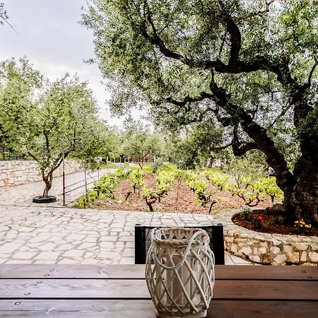 Tsantri Olive Grove 度假居 Drakas