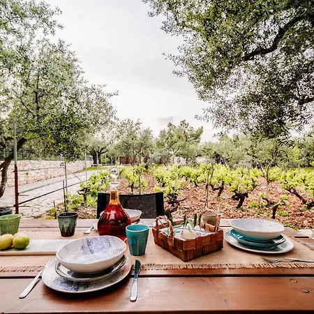 度假居 Tsantri Olive Grove