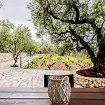 Tsantri Olive Grove Hébergement de vacances Drakas