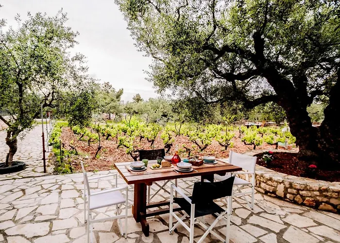 Vakantiehuis Tsantri Olive Grove