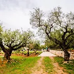 Tsantri Olive Grove Feriehus *