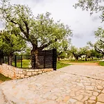 Tsantri Olive Grove Drakas