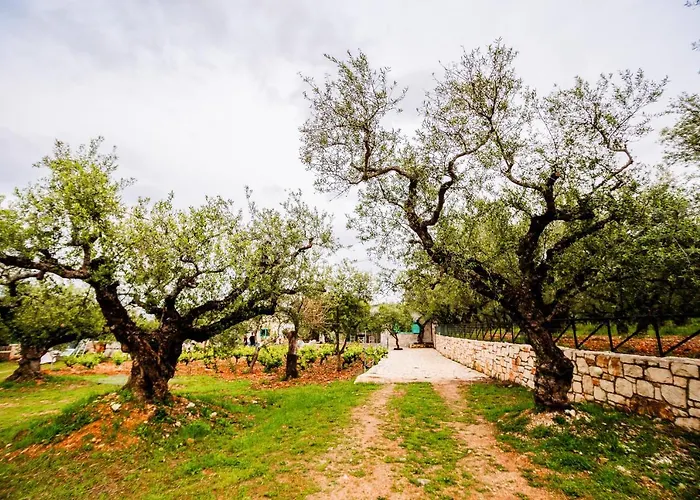 Tsantri Olive Grove Casa vacanze *