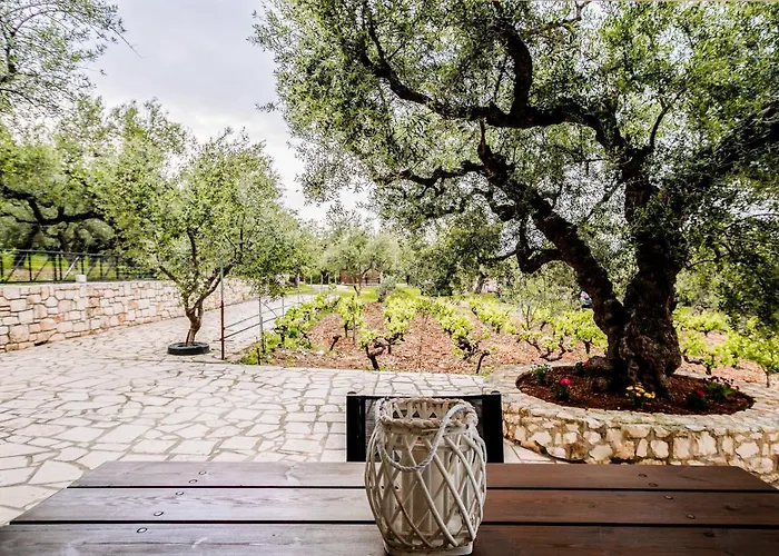 Tsantri Olive Grove Casa vacanze Drakas
