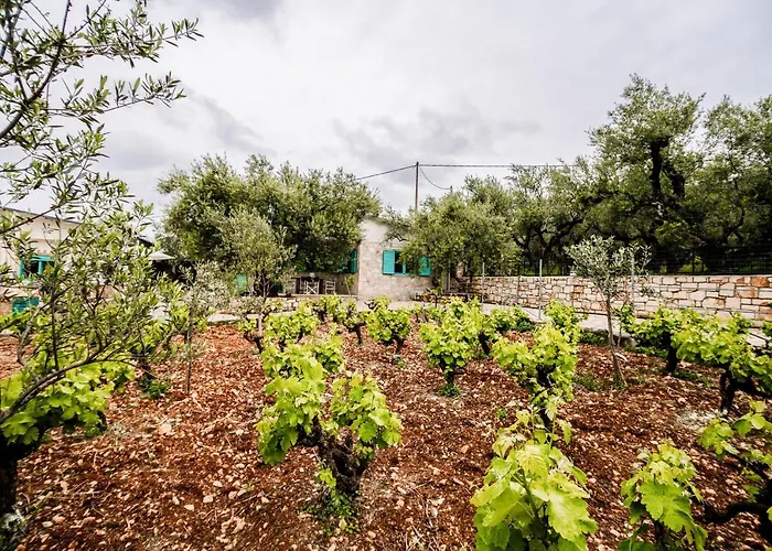 Tsantri Olive Grove Casa vacanze