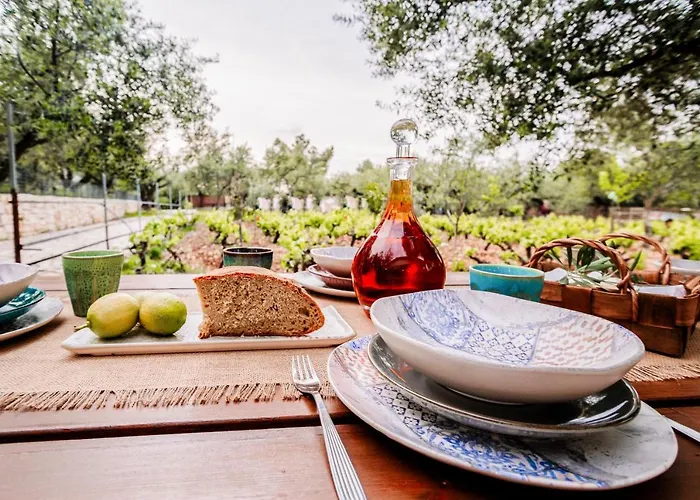 Tsantri Olive Grove